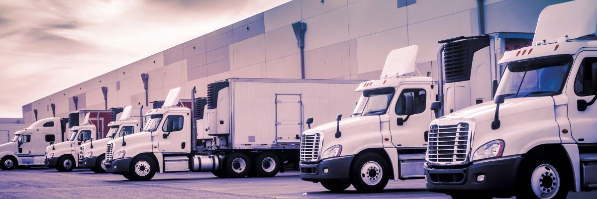 Enhancing Logistics Efficiency: Atlas Columbia Warehouse's Integrated Services